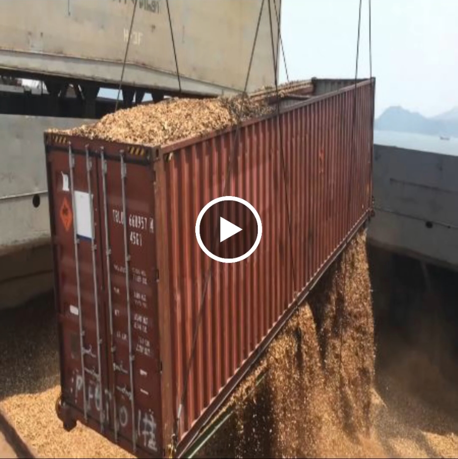 Loading 100 ton of wood chip